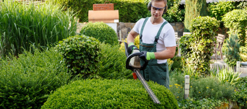 5-Landscape-Maintenance-Services-You-Dont-Want-to-Skip-Out-On.jpg